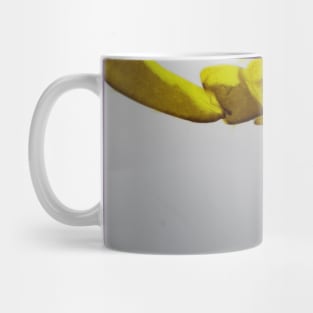 Legs Under the Microscope Mug